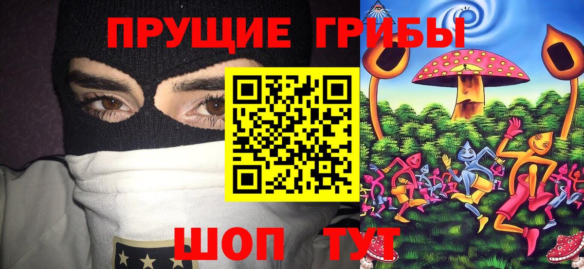 Галлюциногенные грибы мицелий Камень-на-Оби
