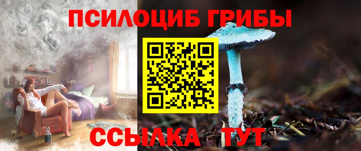 наркошоп  Вход с VPN  Камень-на-Оби  Галлюциногенные грибы Cubensis 